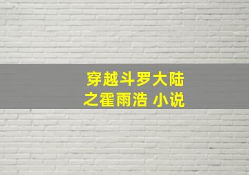 穿越斗罗大陆之霍雨浩 小说